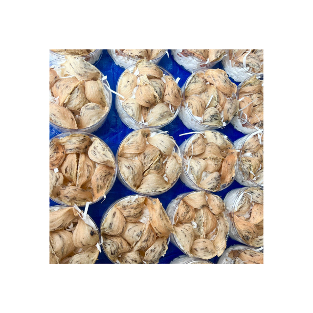 Top Item Raw Bird'S Nest 100% Fresh Bird Nest For All Age Tasteless Packed In Box Made In Vietnam Manufacturer - Image 5