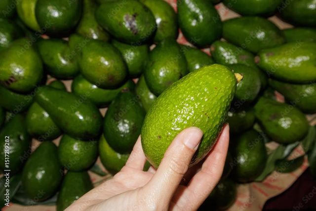 Avocado - Image 1