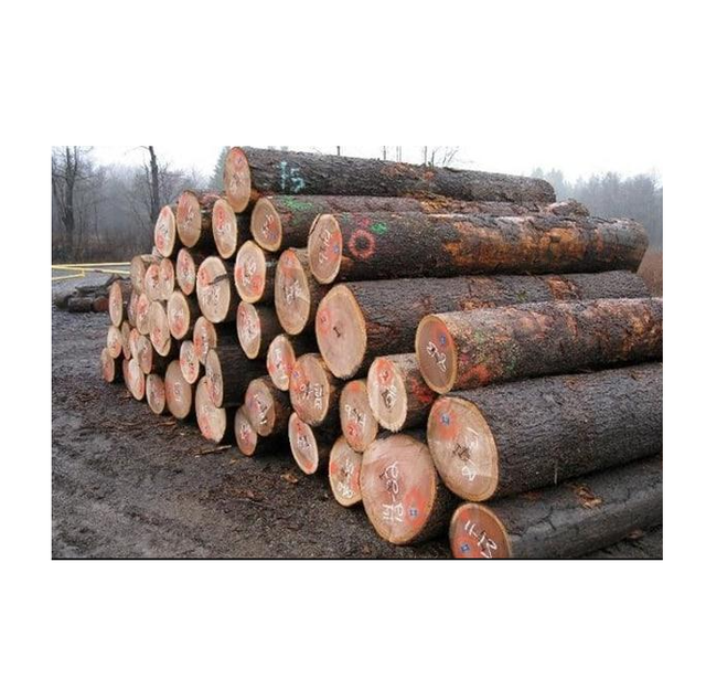 Fresh Cut Red Oak Logs - Wholesale Prices for Bulk Orders - Image 3