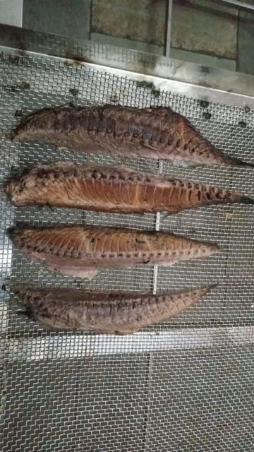 Dried Maasi (Maldive Fish / Masmin) – Hard Dried Tuna, Indian Origin – product photo 3, product detail gallery