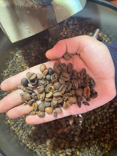 Coffee & Coffee Bean - Image 3