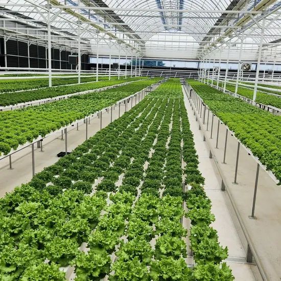 PVC Channel Hydroponics Farm Irrigation Vertical Farming Equipment Hydroponics System - Image 3