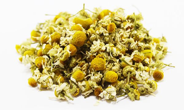 Chamomile Season All Year Weight 10 Kg, 10 Kg – 20 Kg – 25 Kg, 25 Kg, 5 Kg – 10 Kg – 20 Kg – 25 Kg, 5 Kg – 25 Kg Packing Paper Box – Polypropylene Bags, Polypropylene Bags, Polypropylene Package, Polypropylene Package – Paper - Image 1