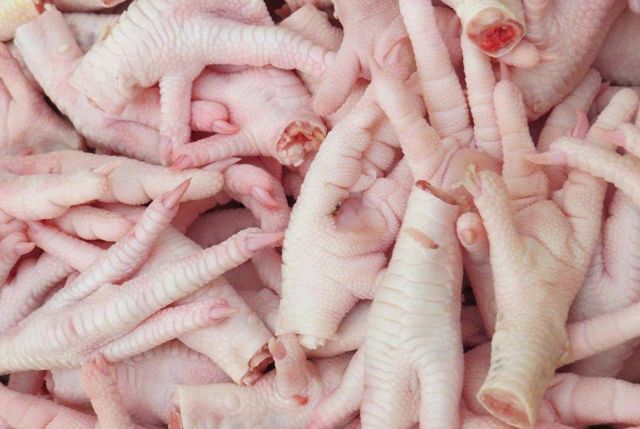 BRAZIL FROZEN CHICKEN PAW - Image 4