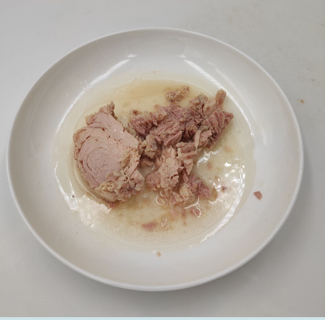 Canned Tuna Skipjack with High Quality - Image 3