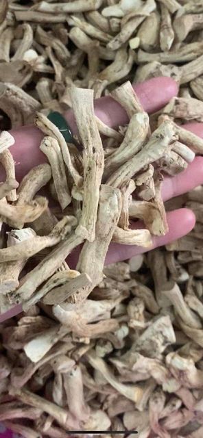 Viet Nam's Dried Shiitake legs Max. Moisture (%) 15 Drying Process Air dried Place of Origin Viet Nam - Image 3