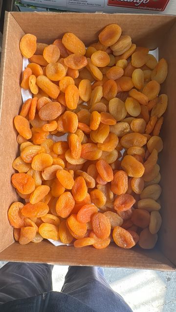 Dried Apricots – product photo 4, product detail gallery