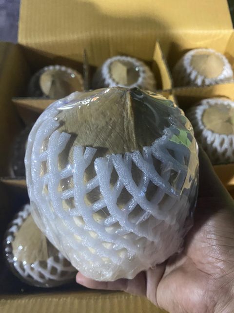 Top Quality Premium Fresh Young Coconut (Diamond shape) from Thailand (Best Price & Low MOQ) - Image 2
