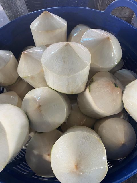 Top Quality Premium Fresh Young Coconut (Diamond shape) from Thailand (Best Price & Low MOQ) - Image 3