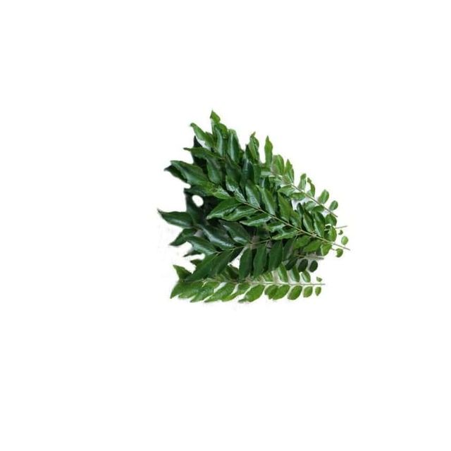 Vegetables – product photo 19, product detail gallery