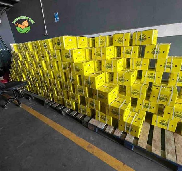 China Fresh Garlic - Image 4