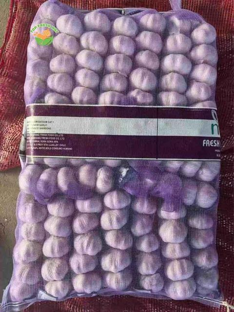 China Fresh Garlic - Image 3