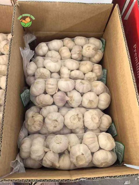 China Fresh Garlic - Image 5
