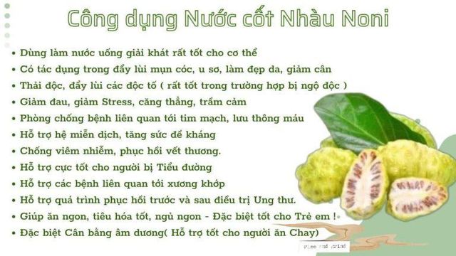 Cheap Noni Juice + Noni Fruit Powder  Quality Việt Nam Drying Process - Image 7