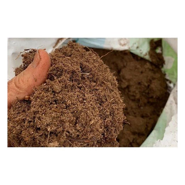 Fast delivery peat moss suitable for global buyers in gardening industries - Image 3