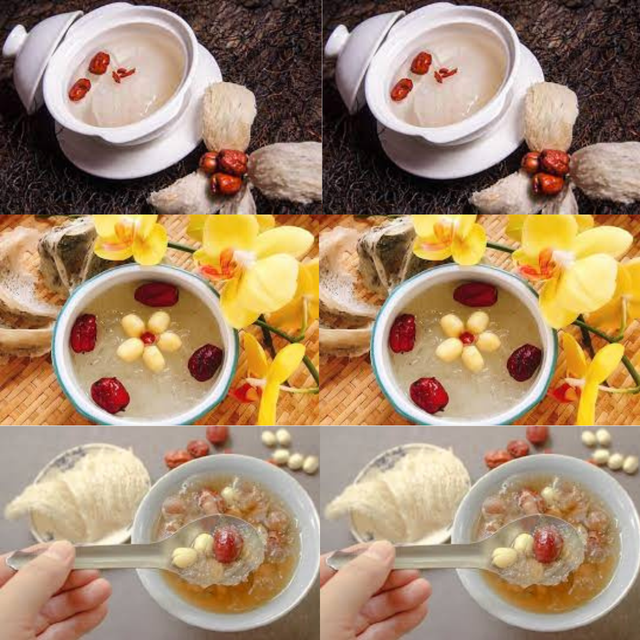 Good Price Refined Bird'S Nest 100% Fresh Bird Nest For All Age Tasteless Packed In Box Vietnam Manufacturer - Image 1