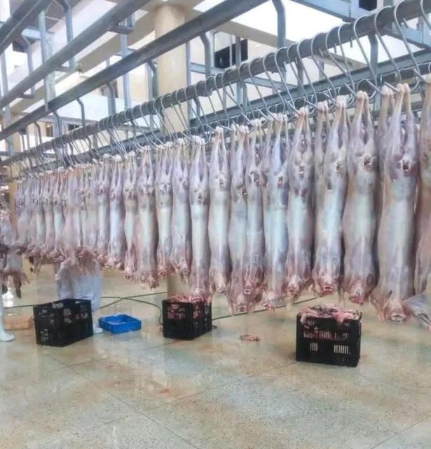 Goat Meat – product photo 1, product detail gallery