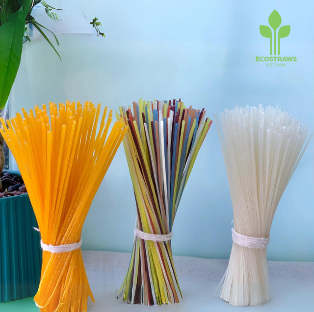 Sugar - Free Noodle Pasta Cheap Price Organic Filiform Straight Round Freeze-Drying Technology In Carton Made In Vietnam Factory - Image 4