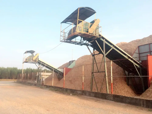 Premium Pine Shavings and Sawdust for Livestock Bedding – Bulk Export Supply ready for delivery - Image 2