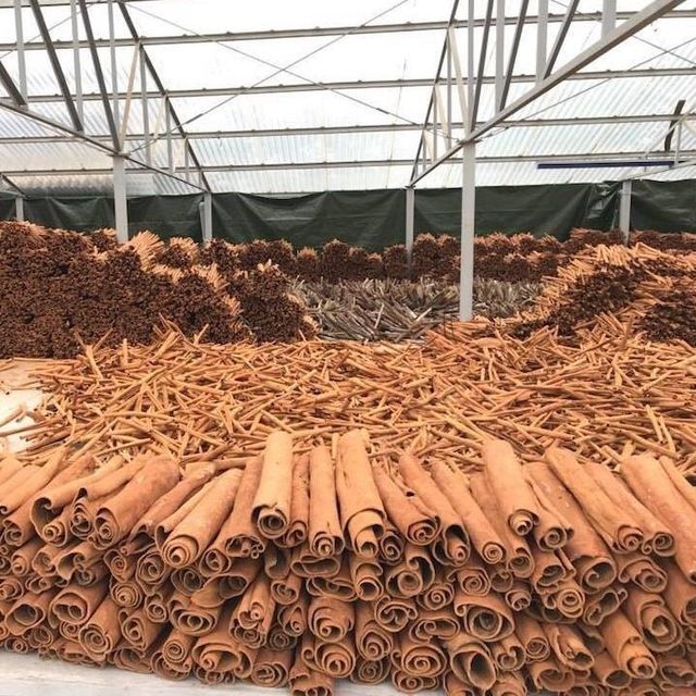 Stick Cigar Cassia Flavour Spicy Features VO 3-5% Color Natural Color Moisture Content Max 14%% Delivery Form Bag, Carton - Image 2