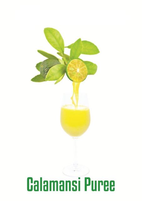 Frozen Calamansi juice NFC Ph 2.0  – 2.8 Origin Vietnam Brix 8.0 Minimum Coliforms <10 Cfu/g Foreign Matter None Insoluble Solid 6% Max - Image 2
