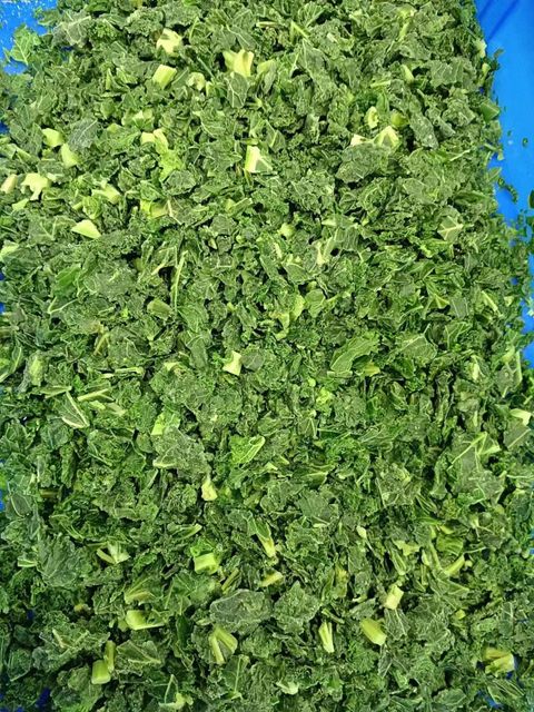 IQF frozen kale frozen cabbage frozen savoy cabage Organic Yes Freshness Level Frozen Variety Acceptable Freezing Variety - Image 3