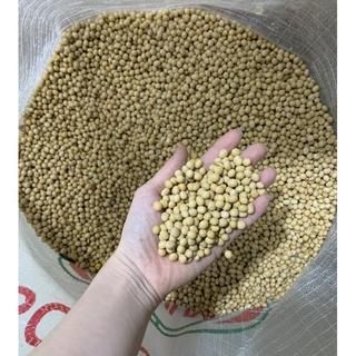 New 100% fresh high quality organic soybeans grow from Vietnam Organic Dried Yellow Soybeans For Sale - Image 2