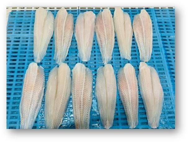 Vietnam Frozen Pangasius Fillet - Well Trimmed, Light pink to Natural white, Size 220Gr-Up - Image 1