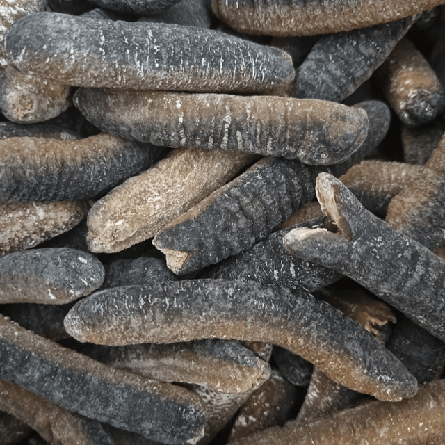 Wholesale Natural Black Dried Sea Cucumbers Healthy Foods Low Price in Stock Cheap for Sale - Image 5