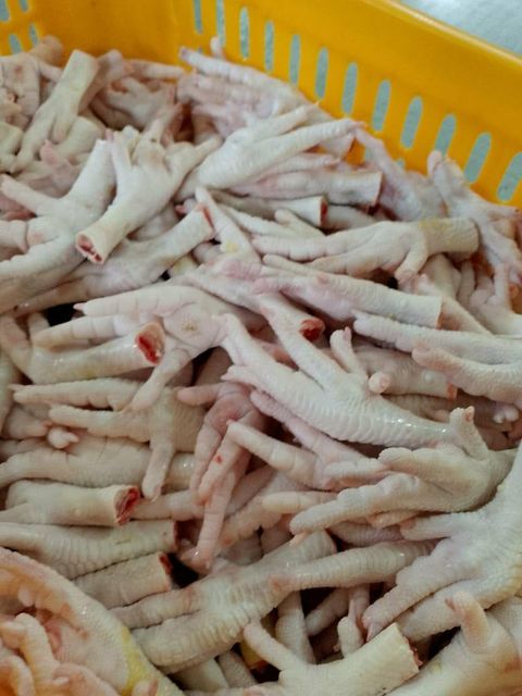 frozen chicken feet and paw - Image 3