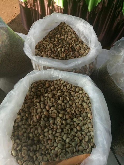 Arabica Coffee (Green Bean Coffee) Type Coffee Bean Weight (kg) 100 g Cultivation Type - Image 1