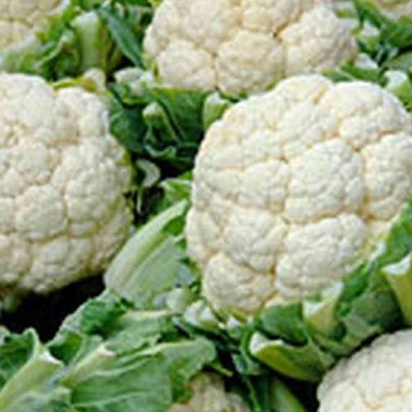 Fresh Cauliflower Grade Goods Style Fresh Weight (kg) 10 Content Natural Manufacturer Yes Address Cape town Shelf Life 25 - Image 3