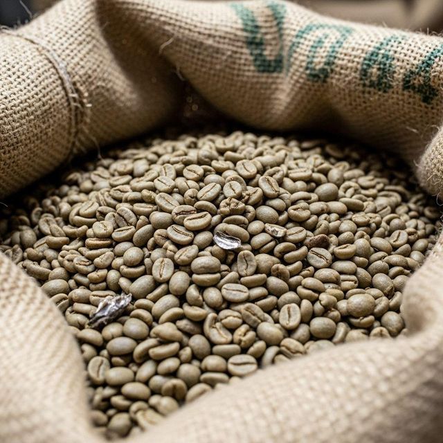 Hot Selling Arabica & Robusta Green Coffee Beans Fermented Roasted & Blended in Bulk From Belgium 50kg PP Bag Grade 1 - Image 3