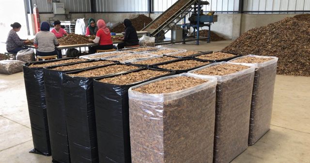 Teak Leaf Mulch Max. Moisture (%) 12% Material Teak Leaf Mulch Carbon Content Rich In Carbon Biodegradability Biodegradable - Image 3