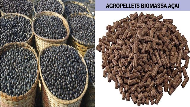 açaí seed biomass - Image 1