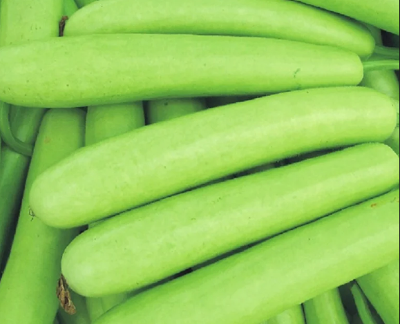 Fresh Bottle Gourd - Image 1