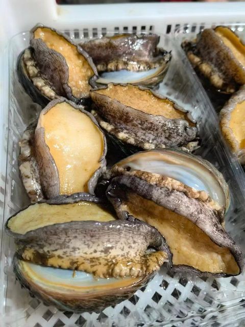 Frozen Abalone Frozen Seafood Wholesale Abalone with Shell Abalone - Image 1