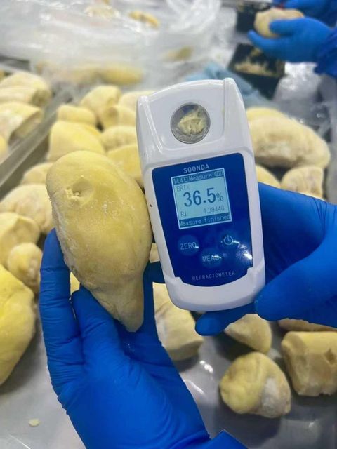 Frozen Monthong Durian, Grade A (with Seed) – product photo 2, product detail gallery