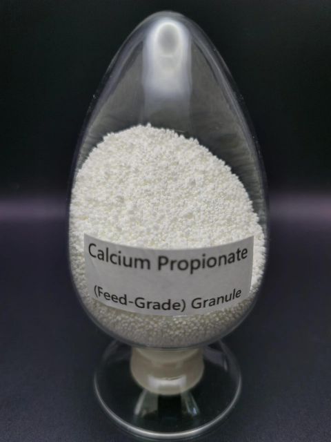 Premium Calcium Propionate Preservative Powder Delivery Form Bag, Bottles - Image 3