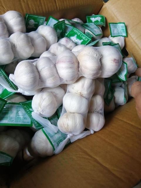 Fresh White Garlic – product photo 5, product detail gallery