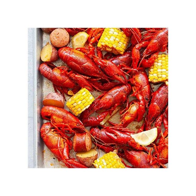SNEDA Cross Border Best Seller Ultra Realistic Lobster Soft Bait Multi Size Crawfish Lure for Bass Structure Fishing Lures SNEDA Cross Border Best Seller Ultra Realistic Lobster Soft Bait Multi Size Crawfish Lure for Bass Structure Fishing Lures SNEDA Cross Border Best Seller Ultra Realistic Lobster Soft Bait Multi Size Crawfish Lure for Bass Structure Fishing Lures - Image 5