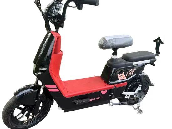 OEM/ODM 48V 350W Electric Bicycle Ebike on Electric City Bike - Image 6