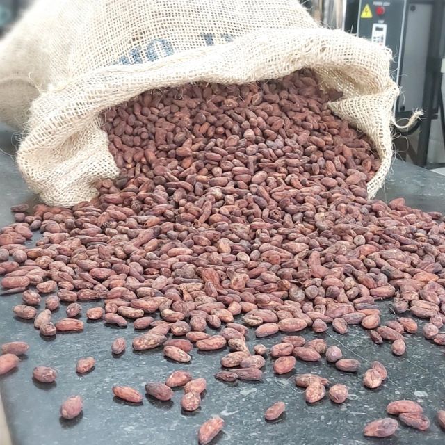 Best Quality Cocoa Beans Dried Raw Cacao Fermented Cocoa Beans at Wholesale Price - Image 1