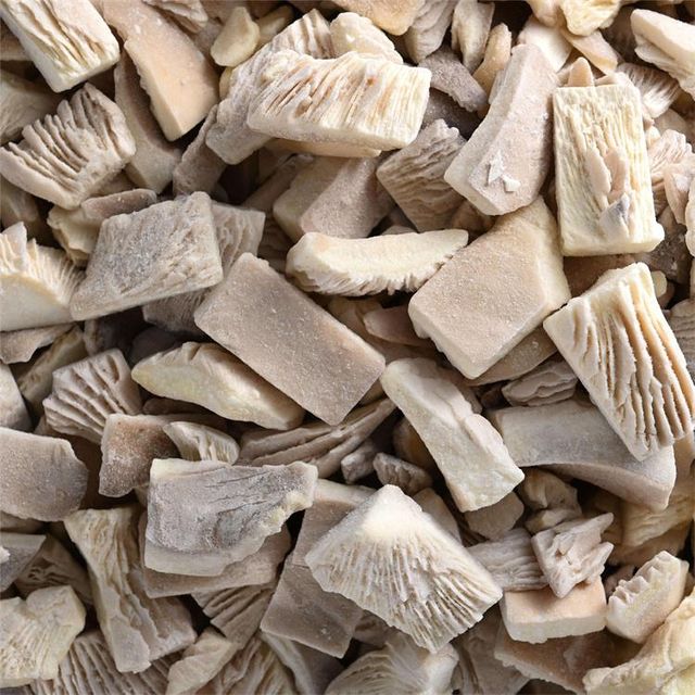 China Manufacturer Quality IQF Frozen Oyster Mushrooms Content no Address no Style FROZEN Weight (kg) 10 Ingredients no Brand Name - Image 3