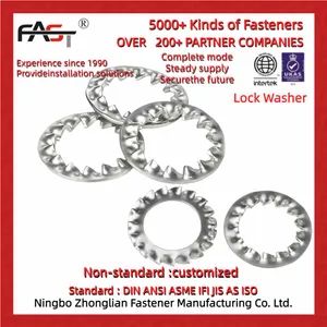 Metric Toothed Lock Washers with Internal Teeth - Image 2