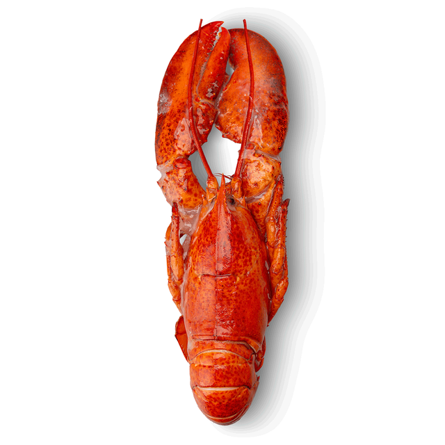 Whole Frozen Lobster and Tails Premium Grade Of Product Quality Export Manufacture Market best quality - Image 3
