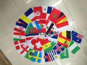 Polyester Decorative National String Bunting Flags Custom Banner - Image 4