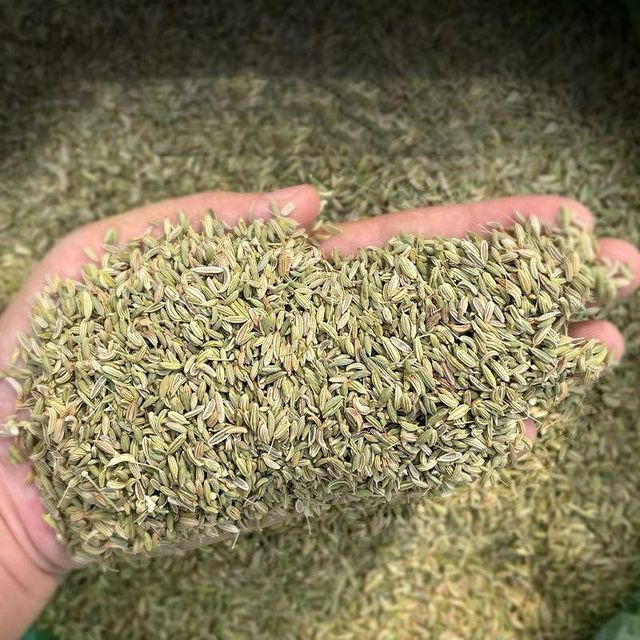 Wholesale Good Price High Quality Single Spices Seasoning Fennel Seed and Cumin Seeds - Image 2