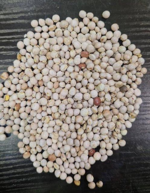 Pigeon peas - Image 2
