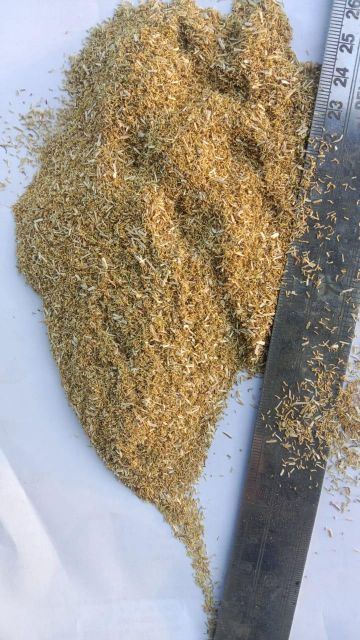 Dried Chamomile Flower - Image 2